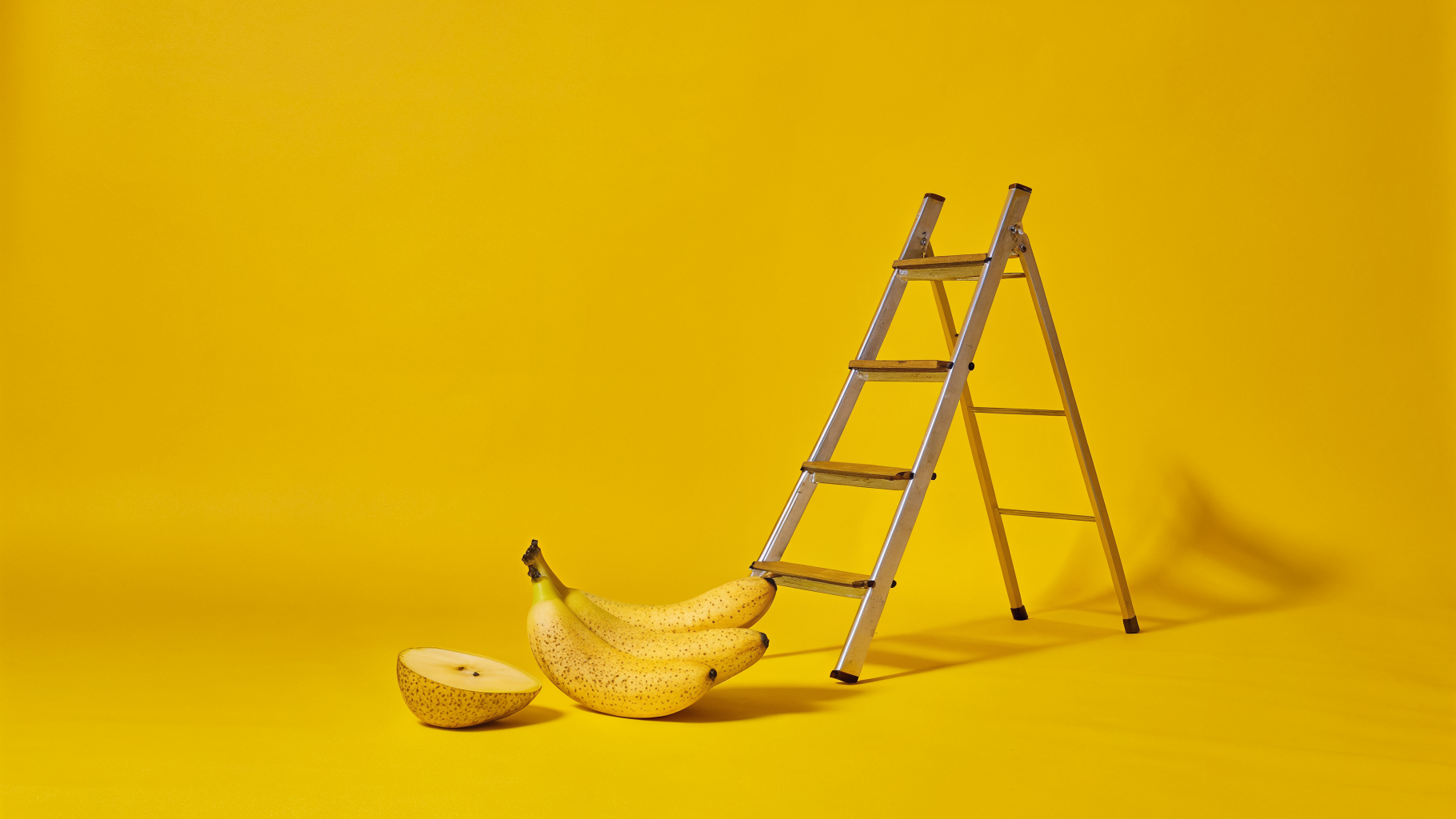 6 Steps to Starting a Labour Hire Company for Event Success