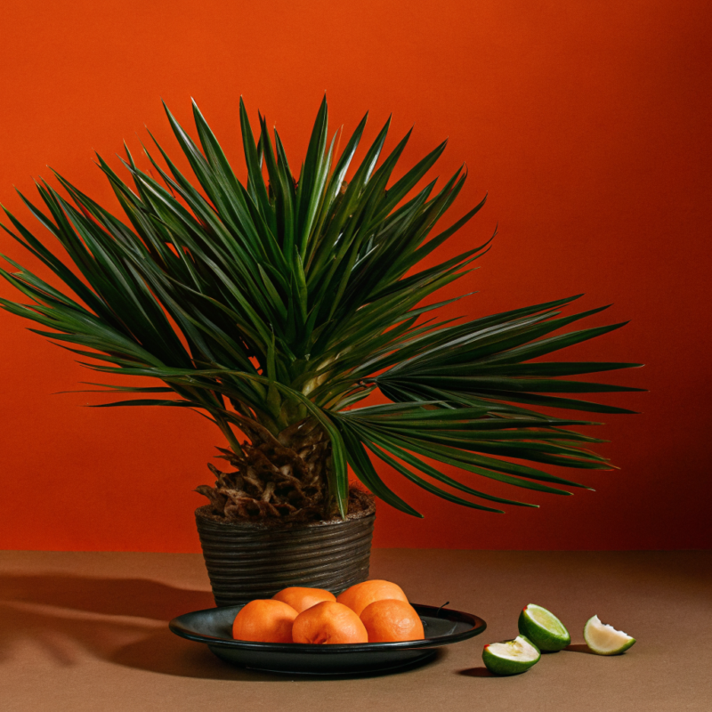 compare-the-largest-event-management-companies-for-your-next-event