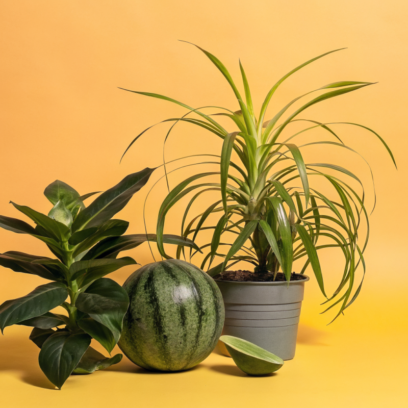 master-event-crewing-4-best-practices-for-seamless-execution